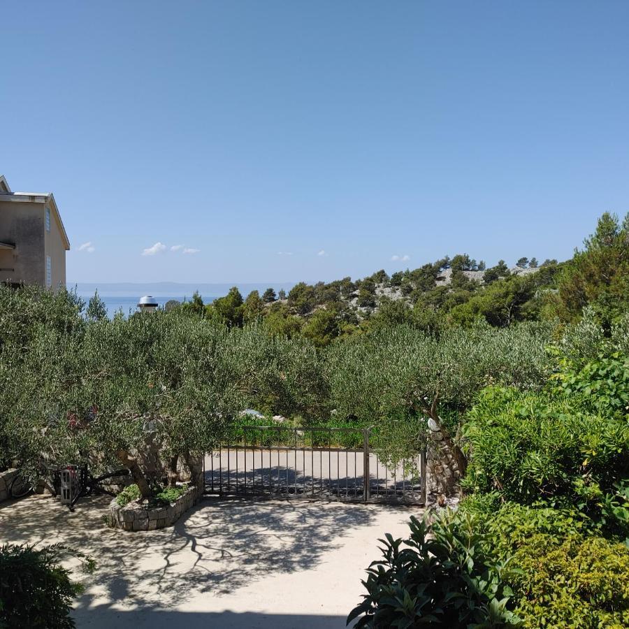 Apartments Villa Cizmic Baška Voda Exteriér fotografie