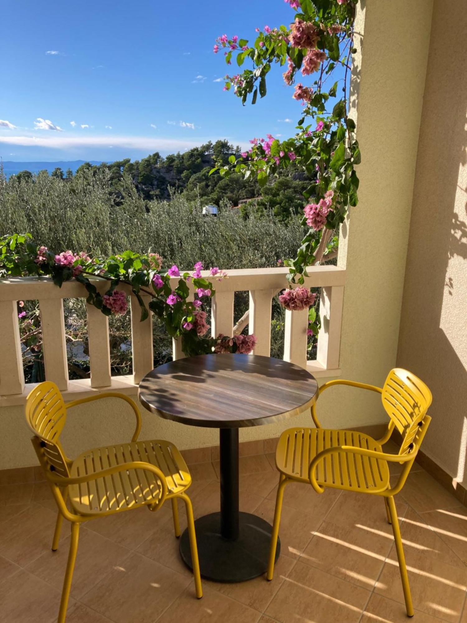 Apartments Villa Cizmic Baška Voda Exteriér fotografie