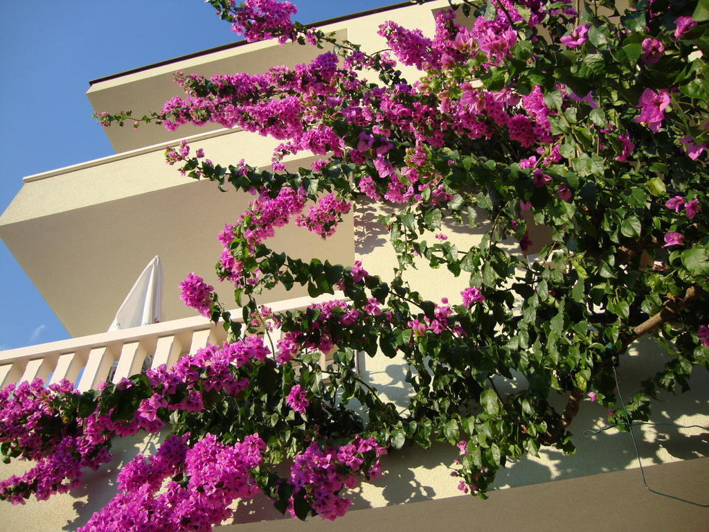 Apartments Villa Cizmic Baška Voda Exteriér fotografie