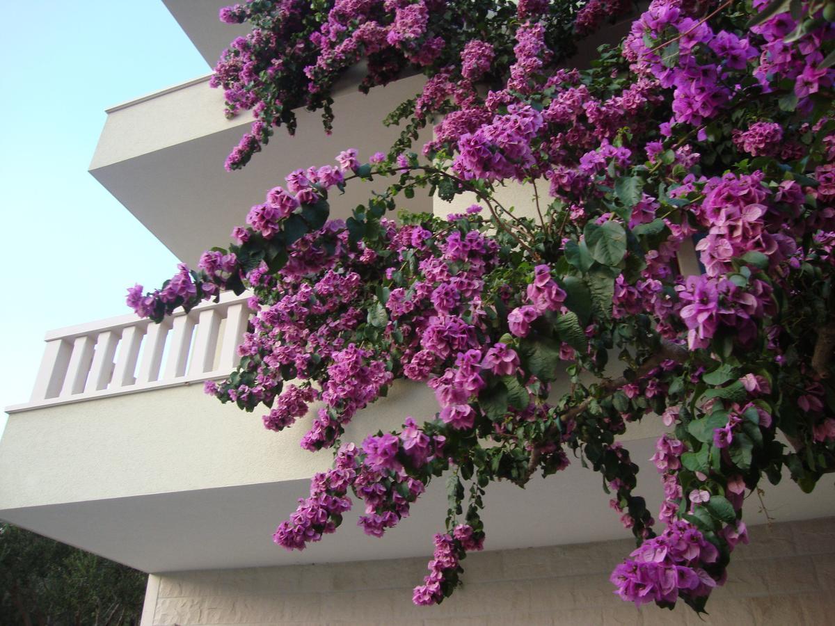 Apartments Villa Cizmic Baška Voda Exteriér fotografie